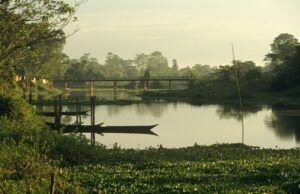 Majuli (Assam) 