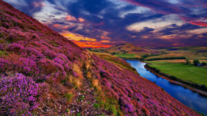 Valley Of Flowers, Uttrakhand