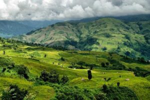 Ziro, Arunachal Pradesh