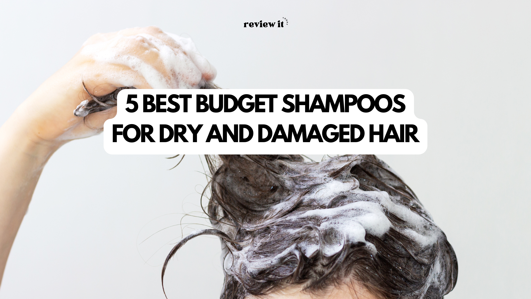 Best Budget Shampoos for Dry Hair
